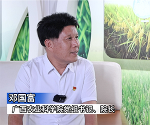 專訪：廣西農科院黨組書記、院長鄧國富”
